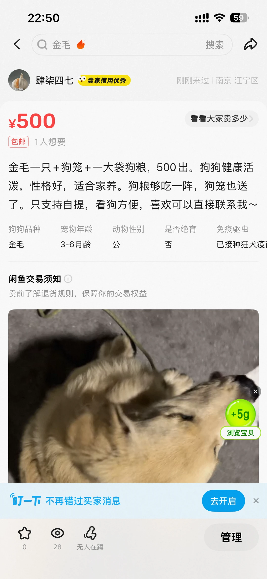 南京有人要养狗子（金毛）吗