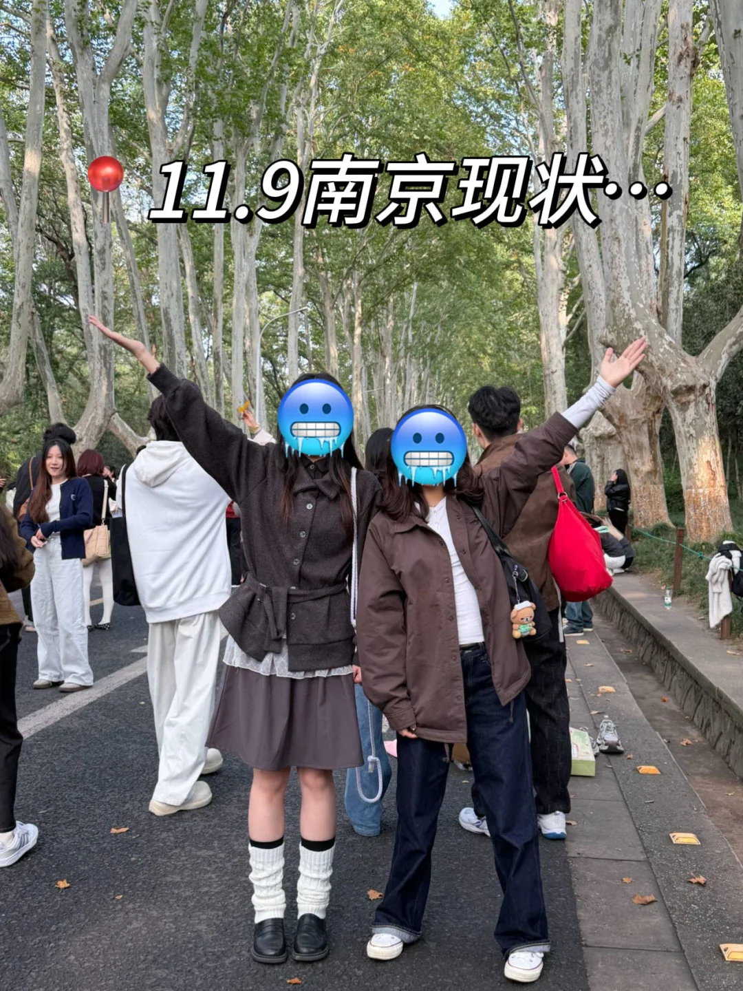 11.9南京现状！冷到崩溃🥶打算来的速看