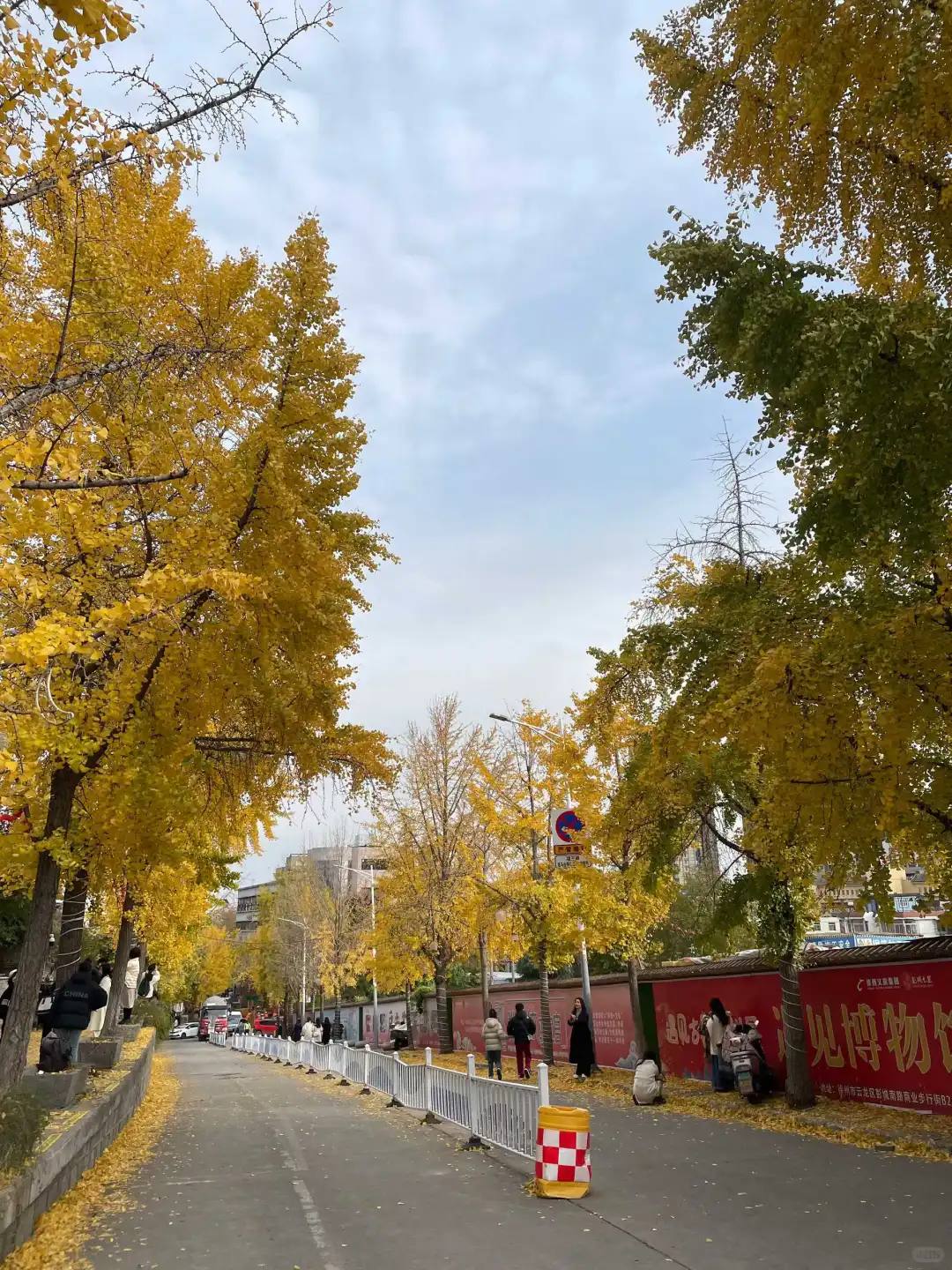 徐州应该要在江苏的秋有一席之地