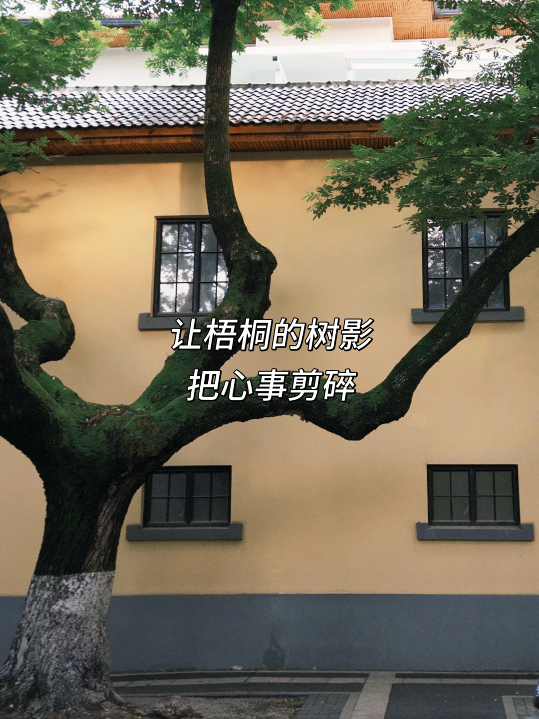 因思念难静〰️便来趟南京！🍃