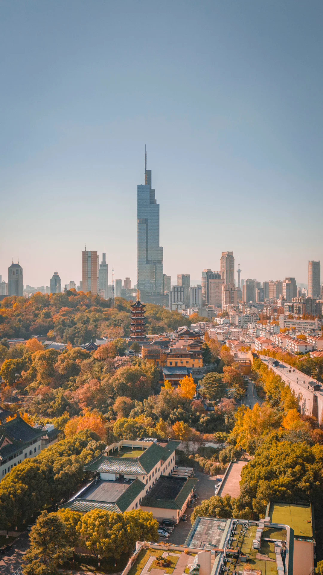 接下来的南京，秋天的氛围感直接拉满