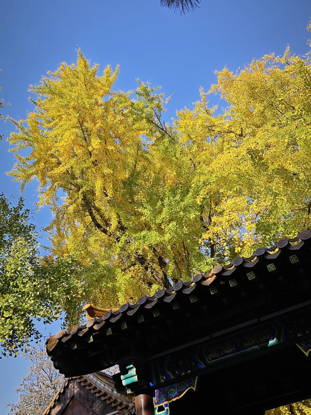 徐州📍一座来了就不想走的城市