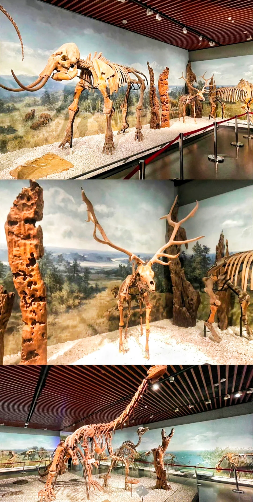 南京博物院，别问值不值得，问就是值得！