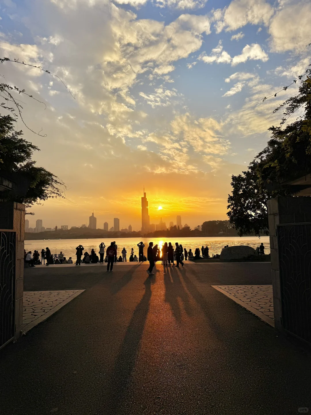 11.10实况｜南京12时特种兵一日游赏秋路线❗️