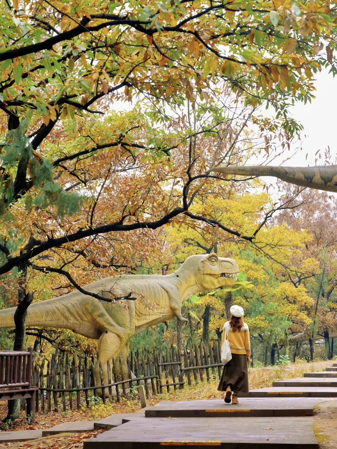 迄今为止🍁江浙沪最喜欢的秋游小城出现了‼️