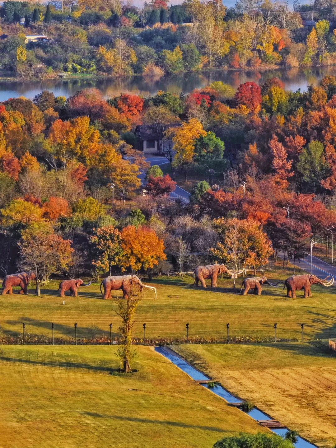 徐州人嘴真严啊！藏着这么美的地方不说！