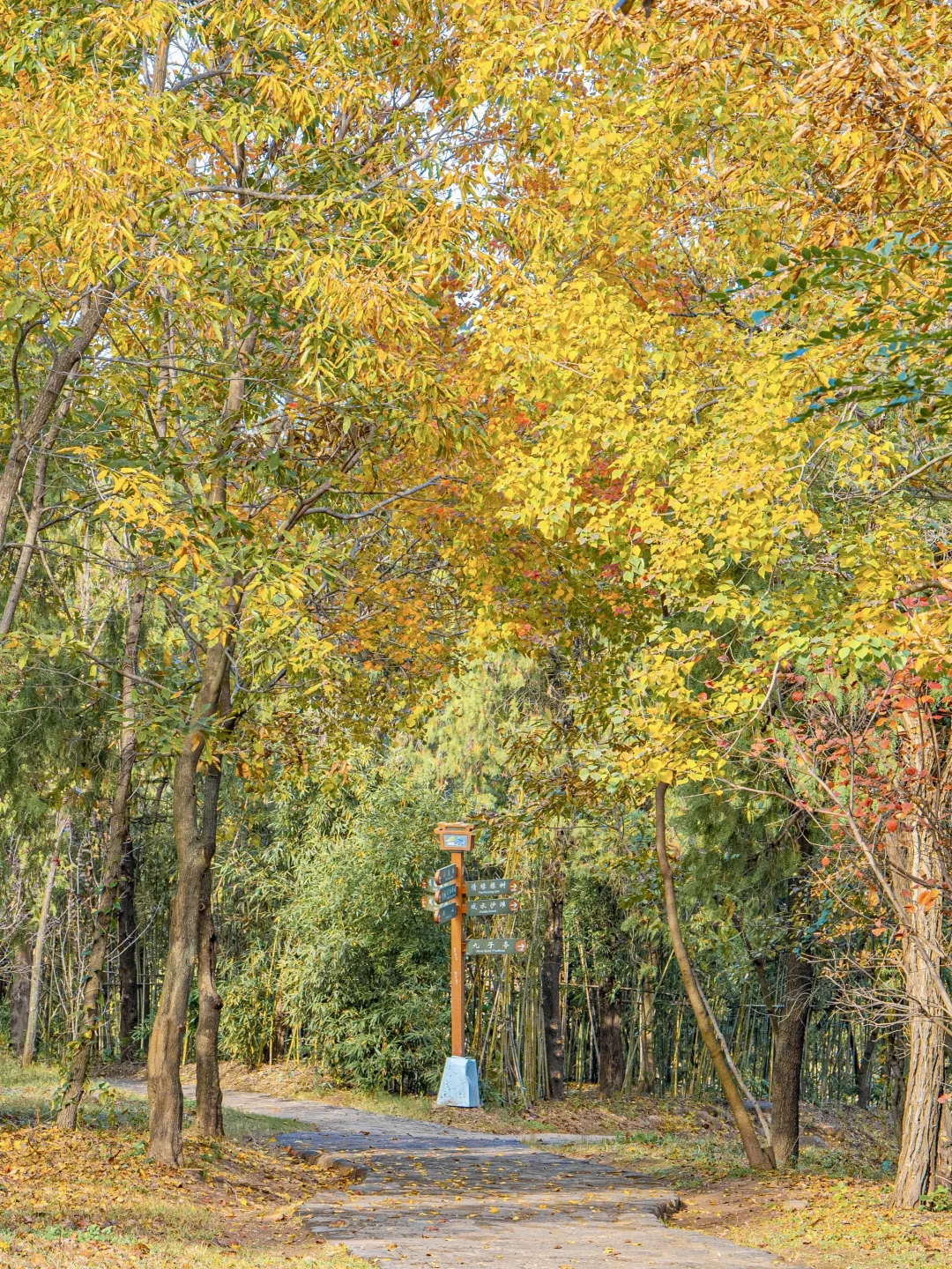 迄今为止❗️我最喜欢的旅游城市出现了….