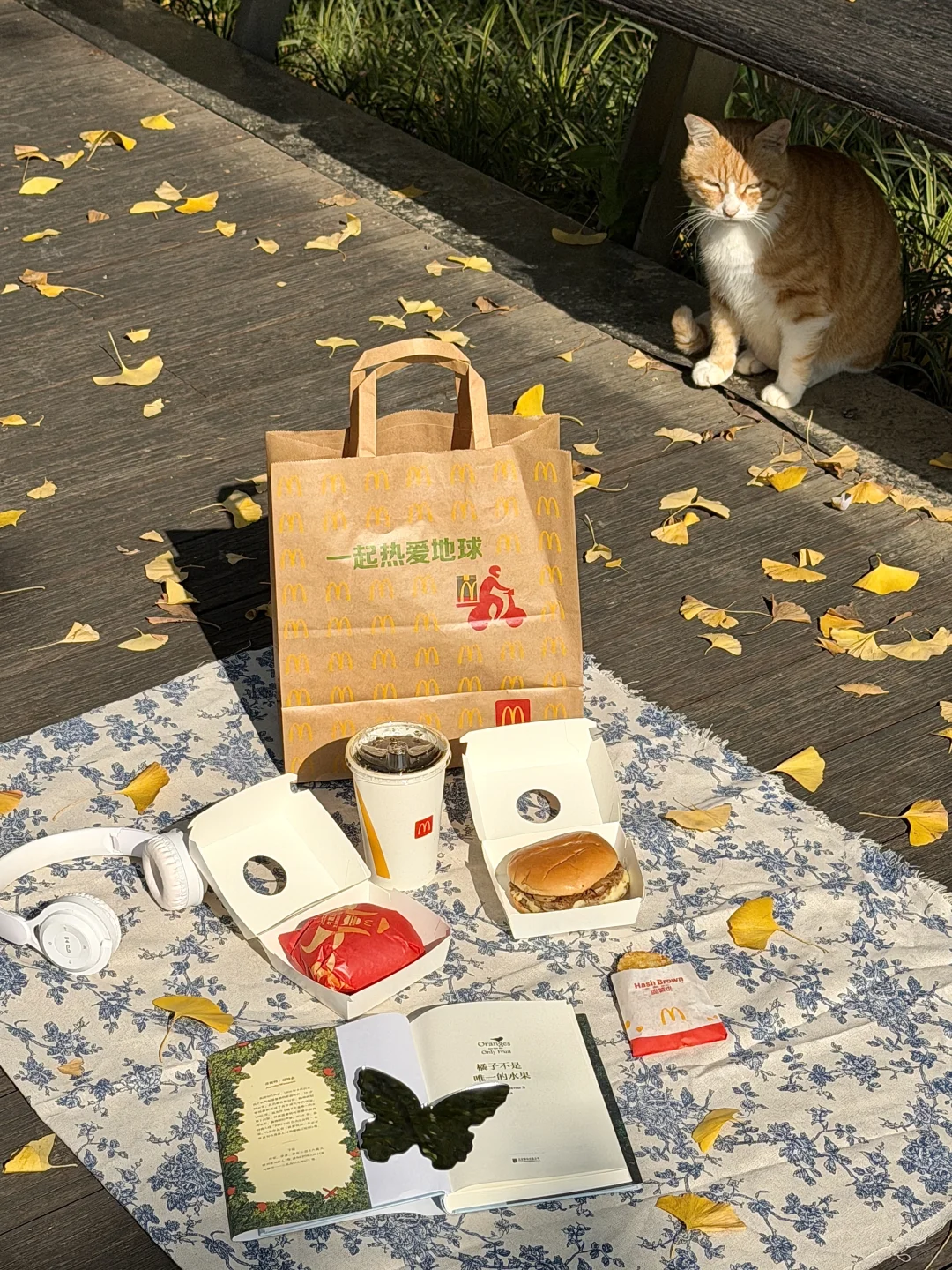 11.14实况！南京🈚️人银杏大道！！杀疯了。。。