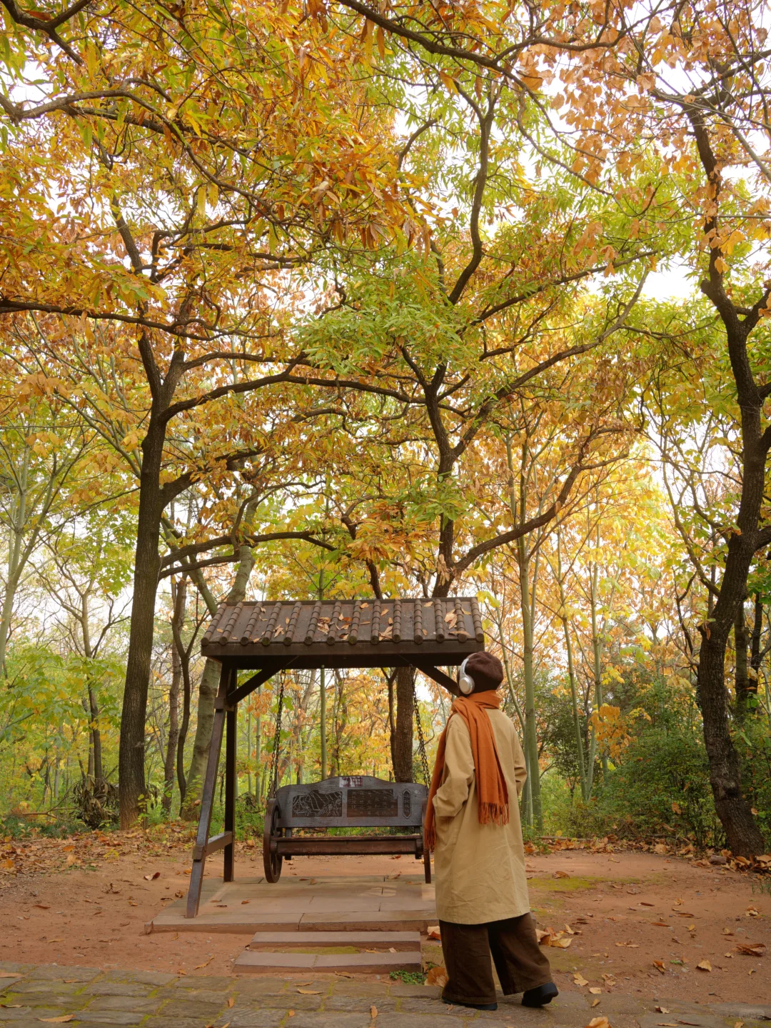 为了这片顶级秋色…在徐州暴走了两小时‼️