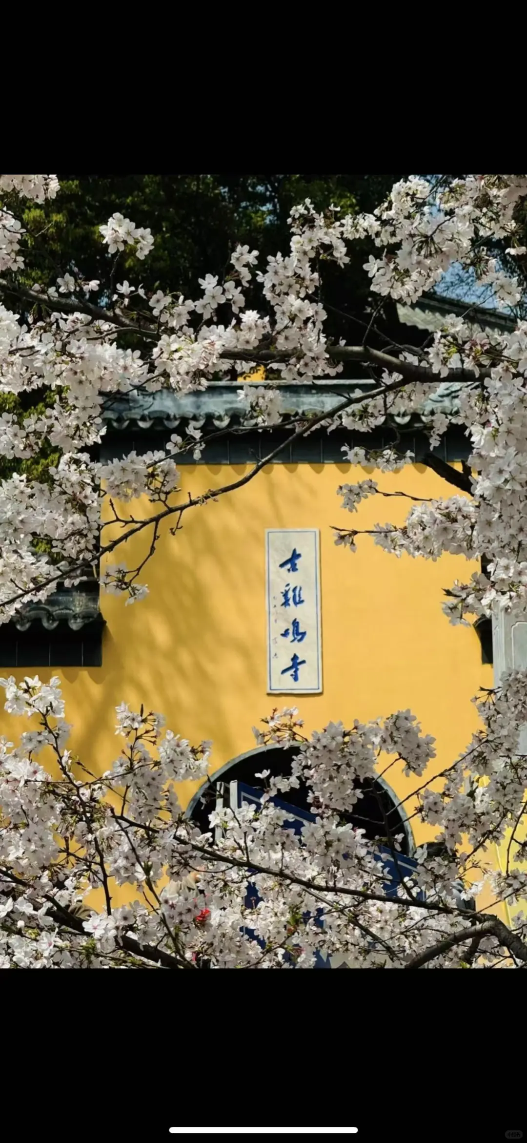 南京旅游攻略！本地人推荐的10个打卡地