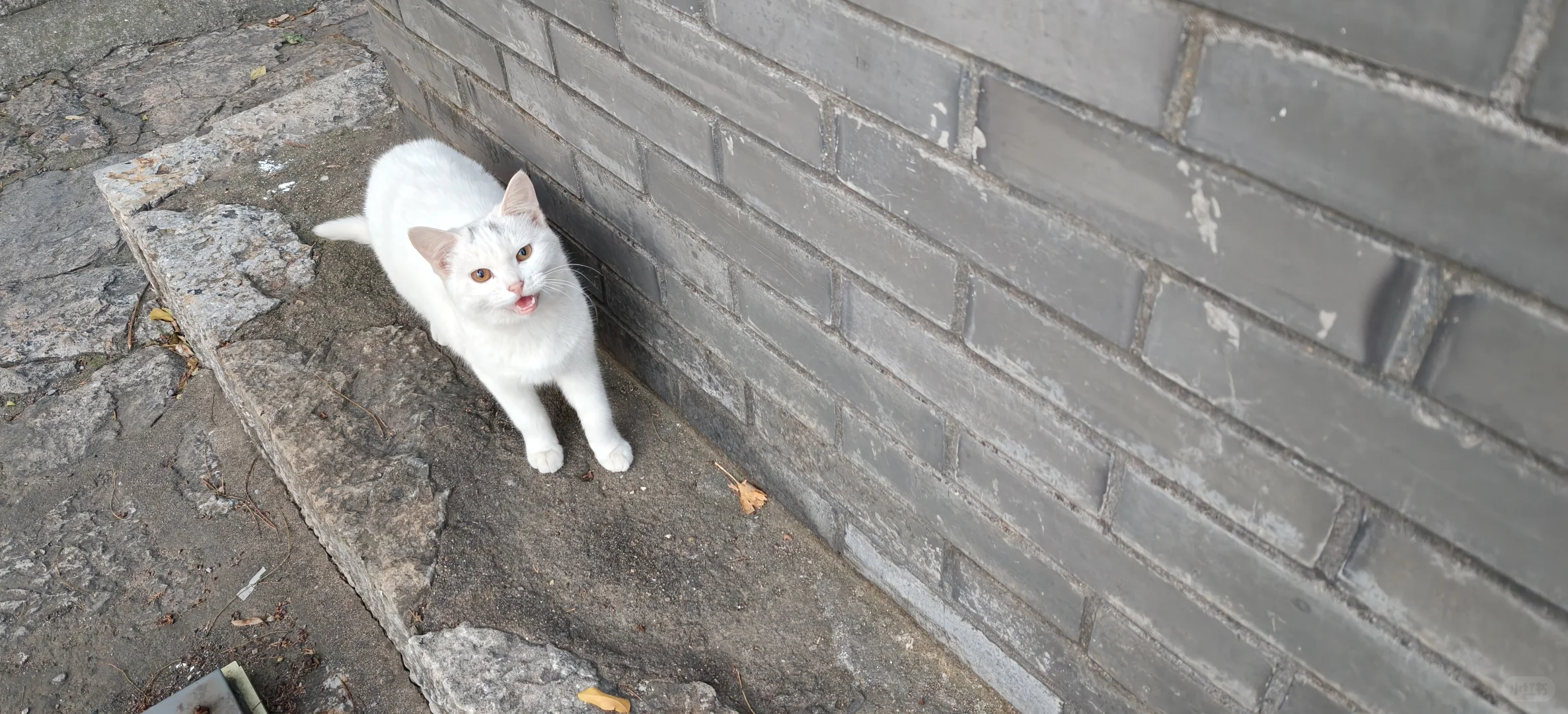 🌅徐州双璧｜云龙山×云龙湖