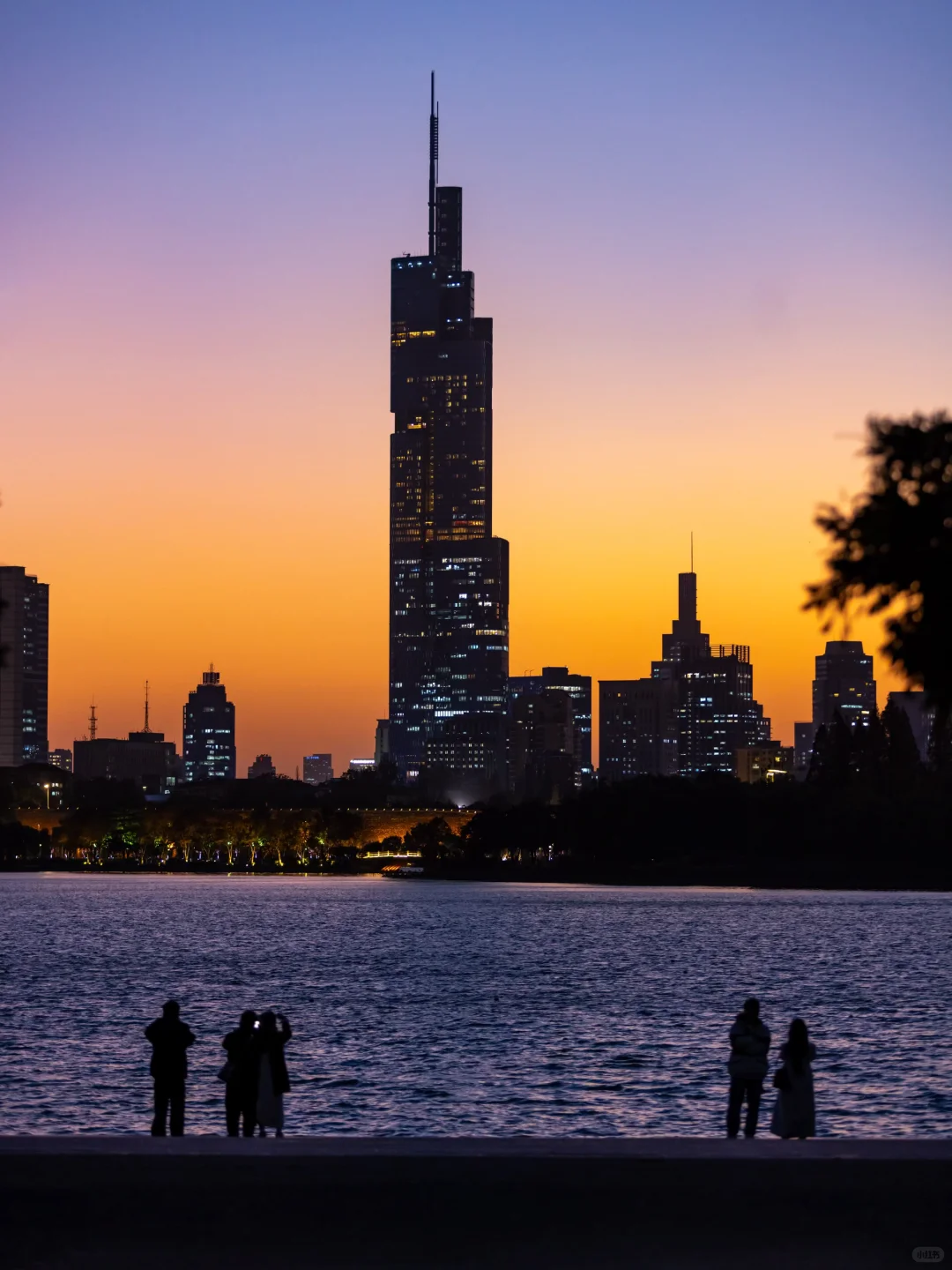 我宣布！没有一个城市比南京更懂得秋天❗️