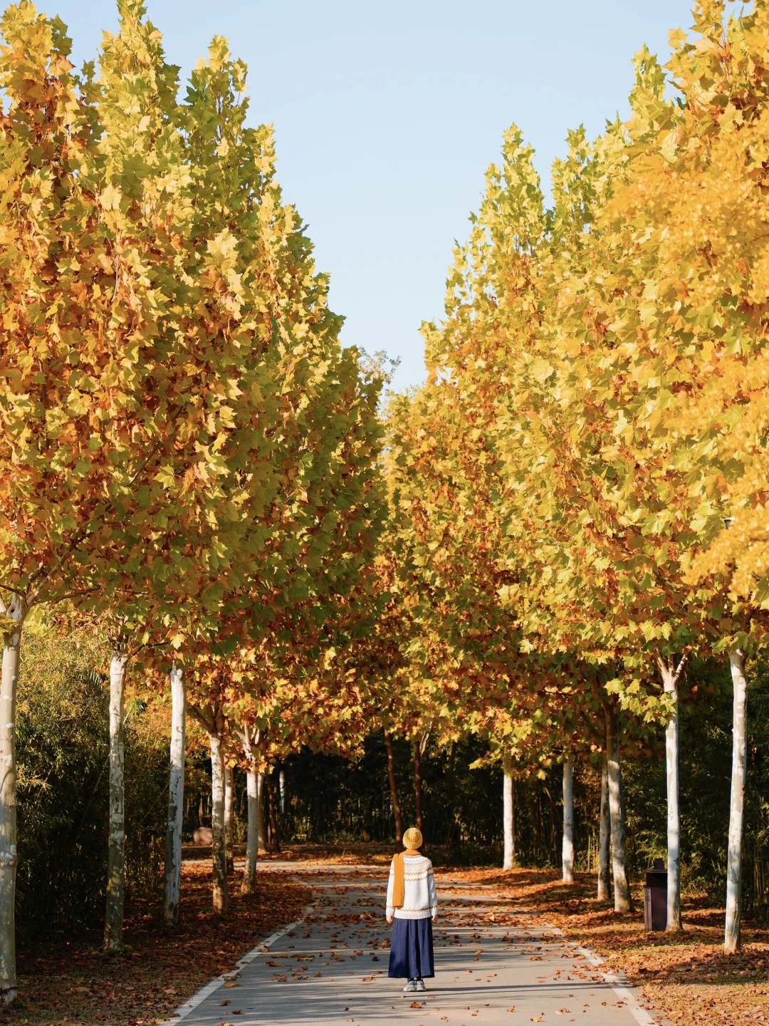 人生建议: 抵达徐州第一站从这开始Citywalk