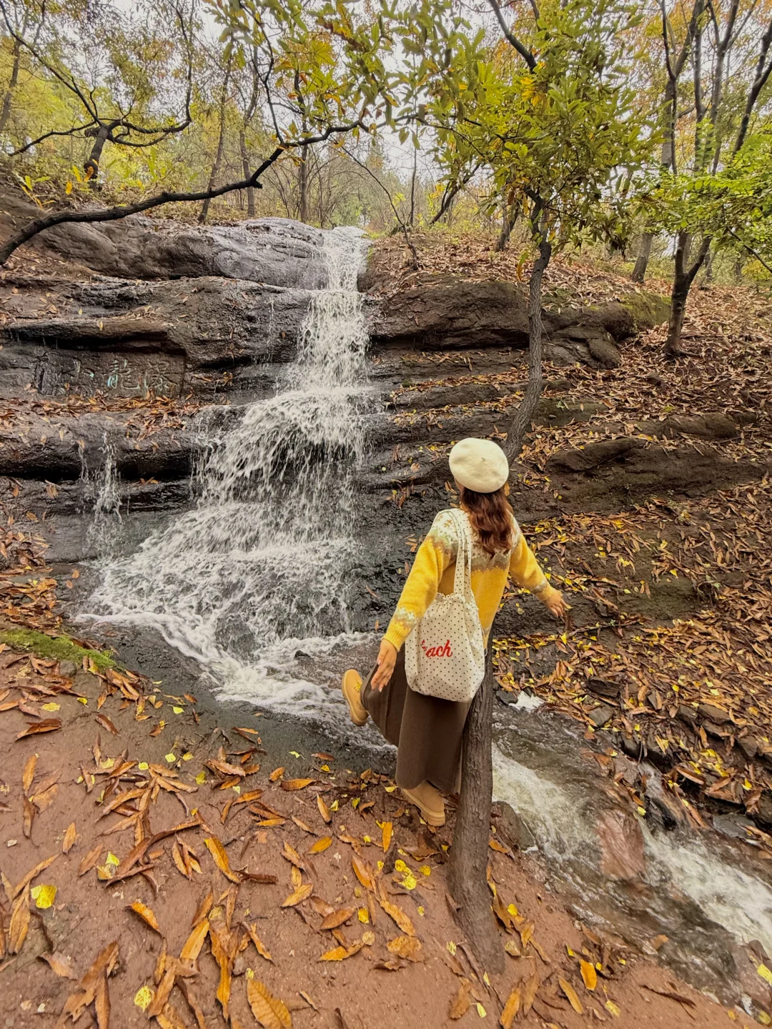 迄今为止🍁江浙沪最喜欢的秋游小城出现了‼️