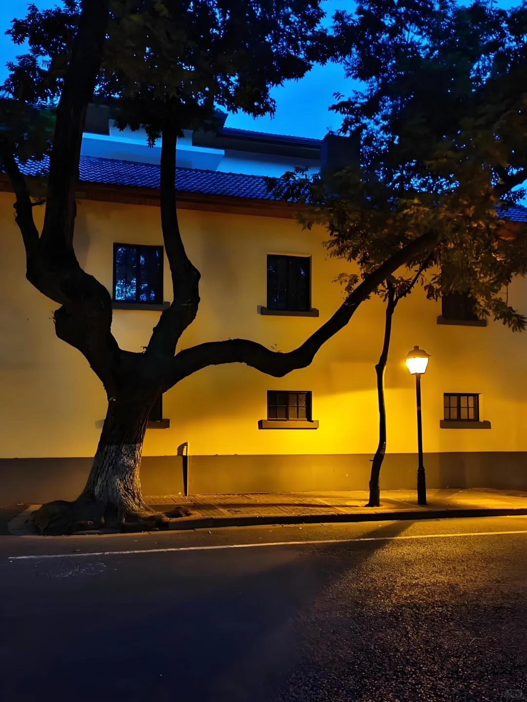 南京12个超出片的网红打卡点📸免费！