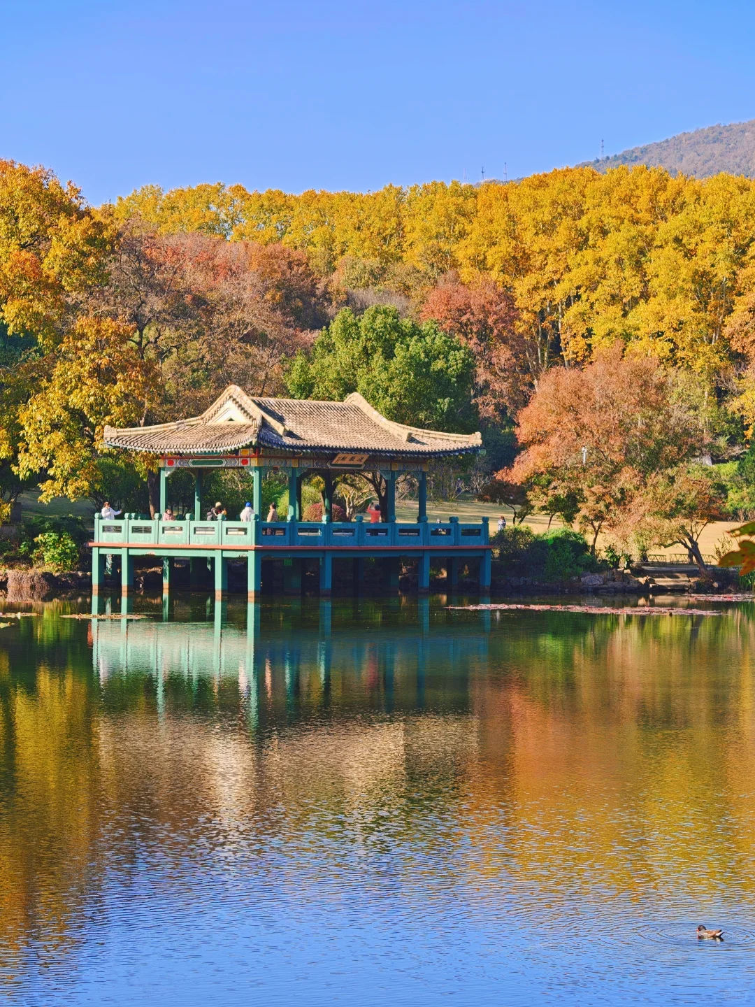 南京流徽榭秋景攻略｜正午1点拍绝湖水倒影