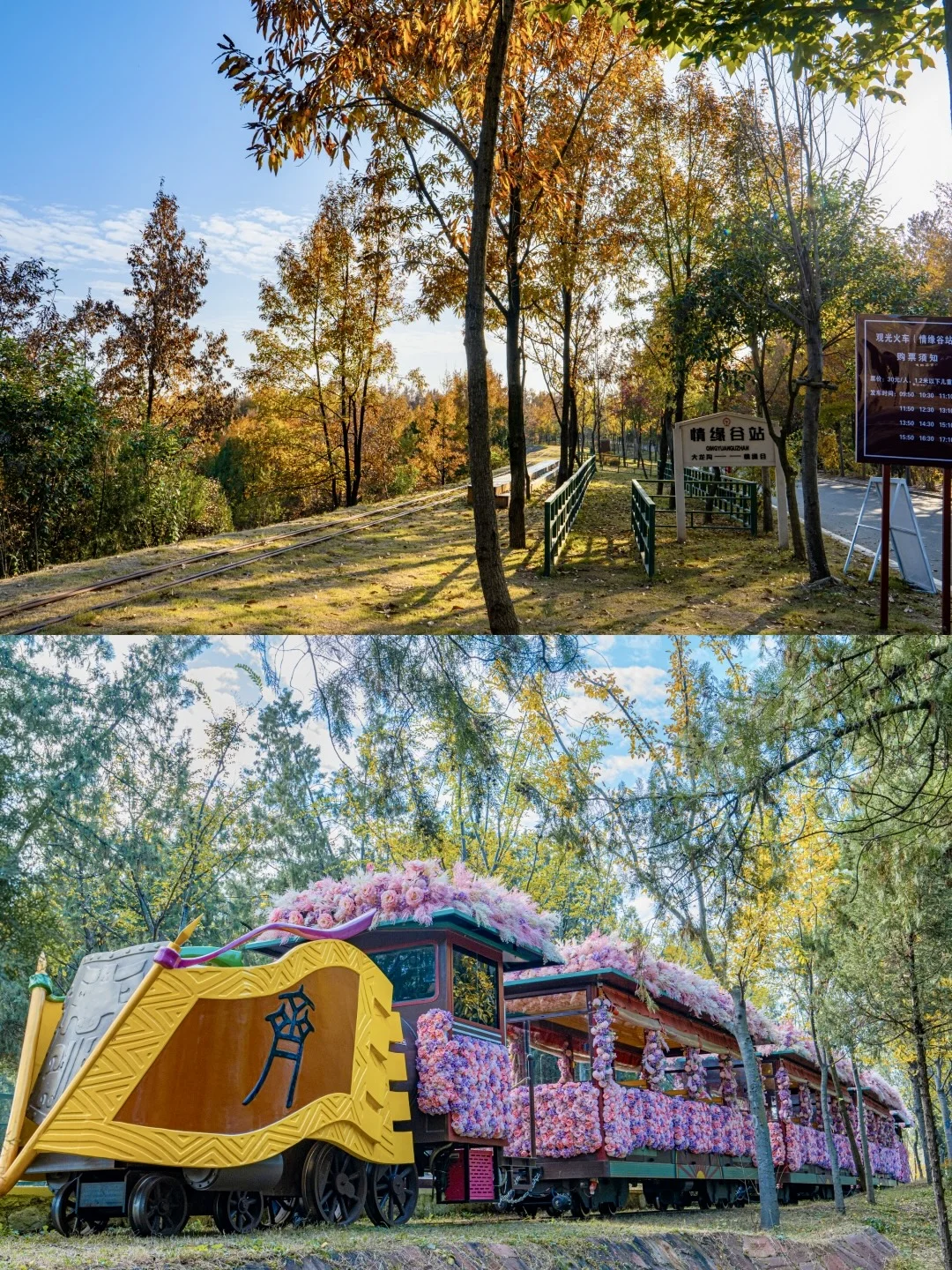 迄今为止❗️我最喜欢的旅游城市出现了….