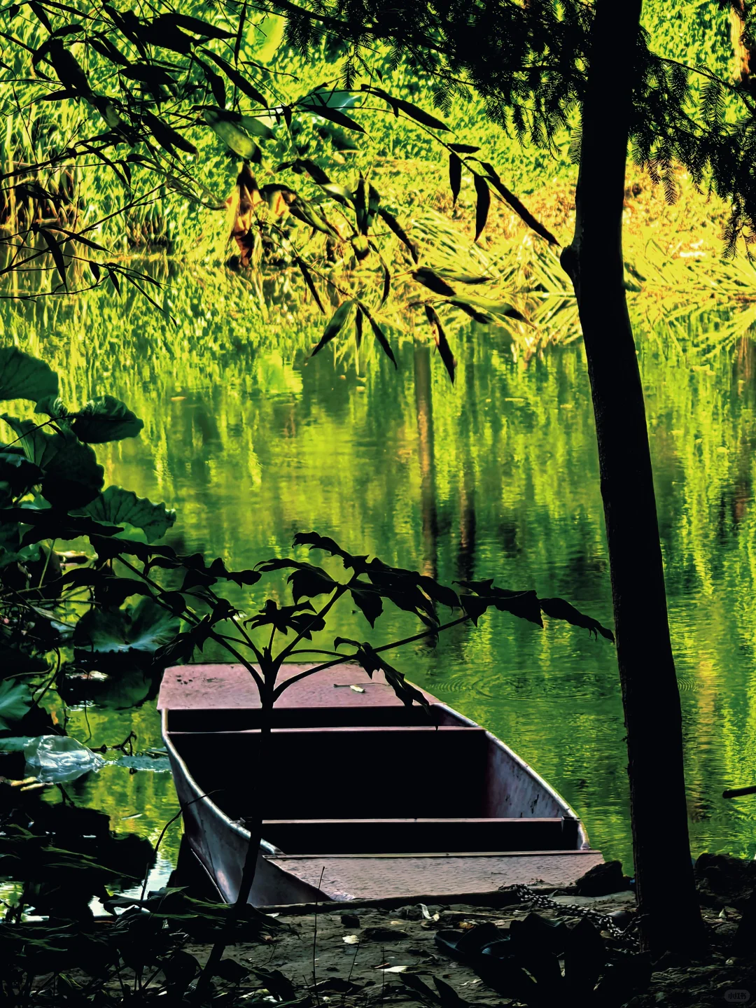 你要写徐州，就不能只写徐州