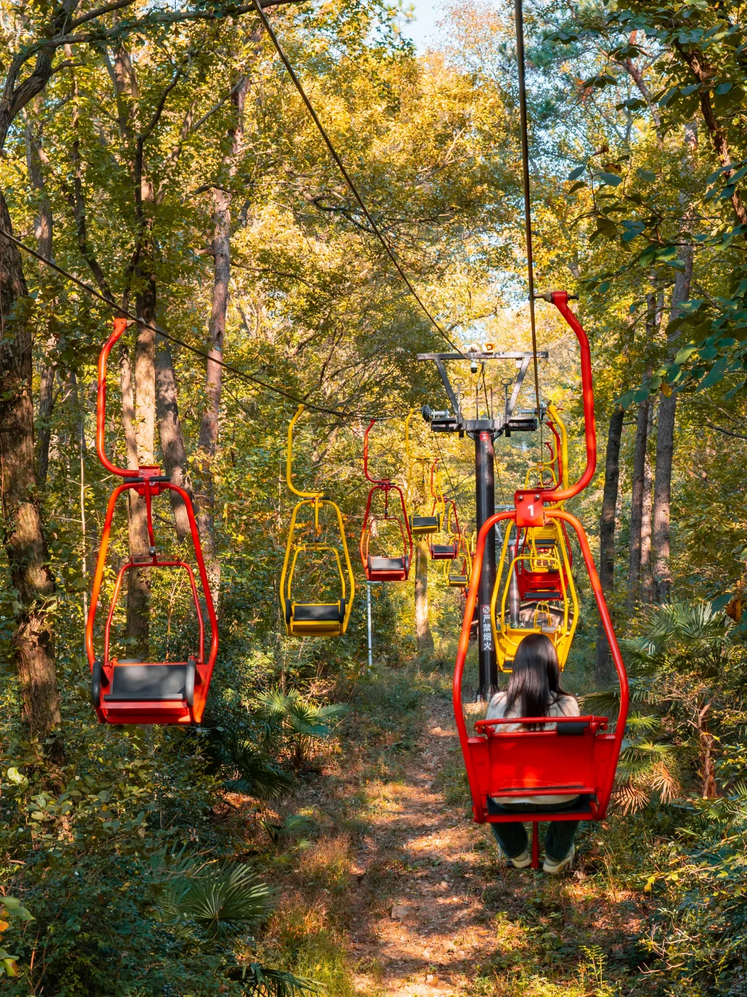 我宣布！没有一个城市比南京更懂得秋天❗️