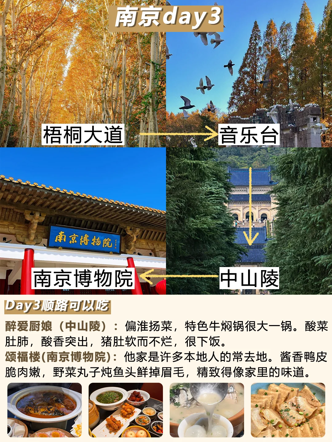 11.11日南京现状！打算来的速看