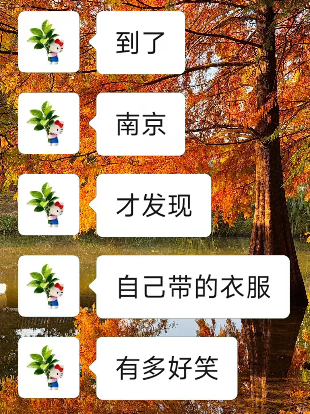 11-12月准备来南京旅游的，千万注意了⚠️