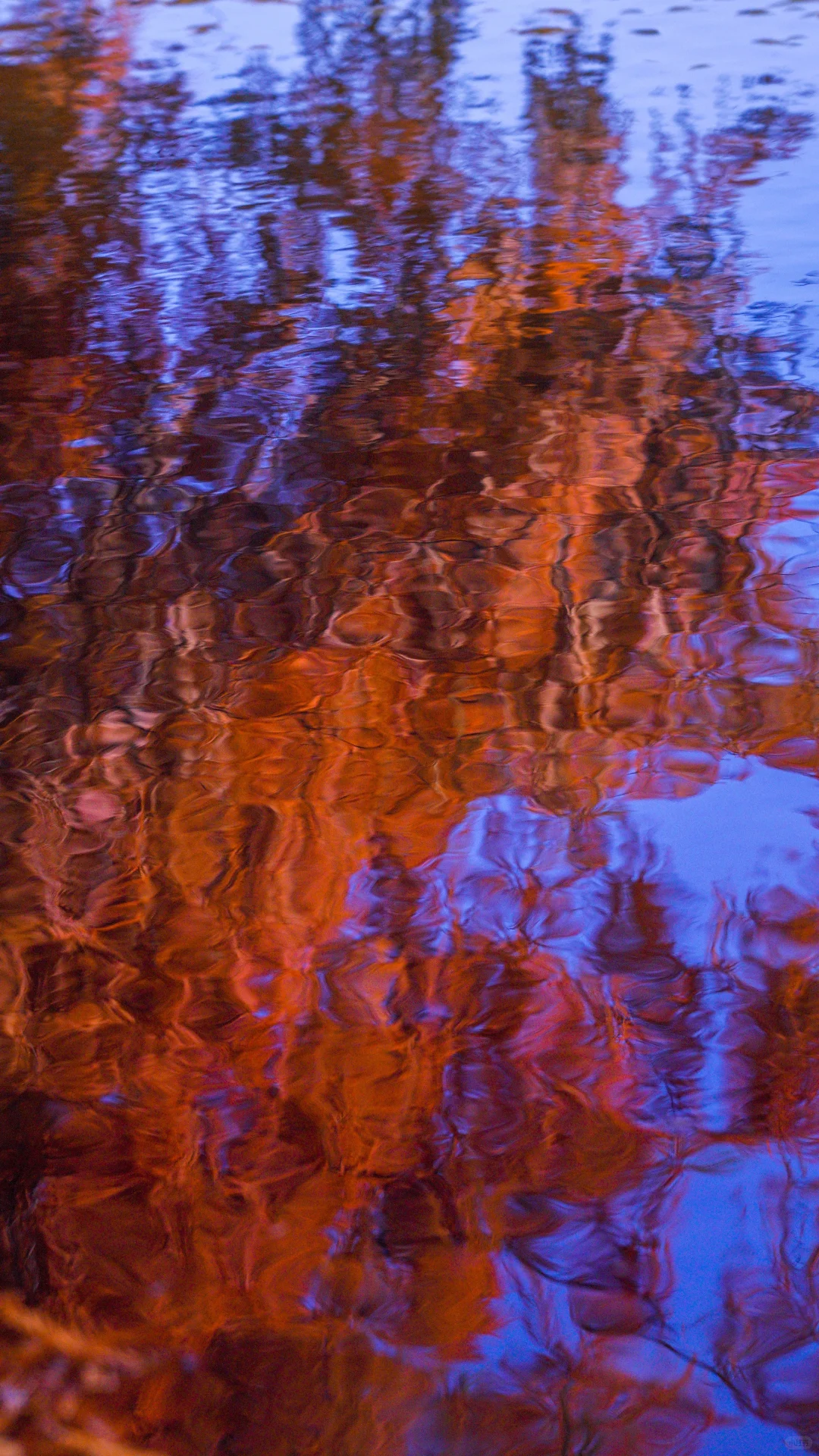 南京的深秋，一把子期待住啦！