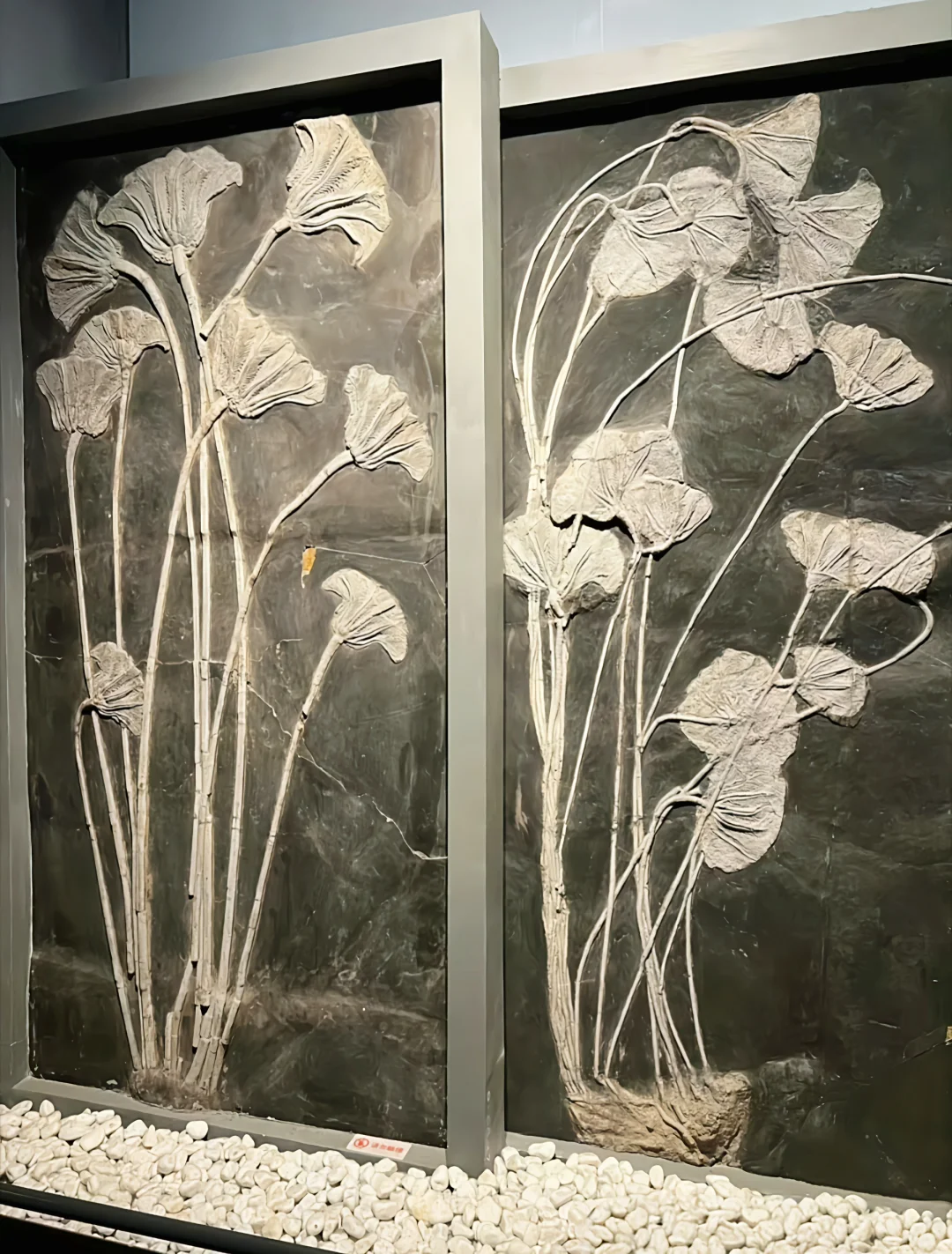 南京博物院，别问值不值得，问就是值得！