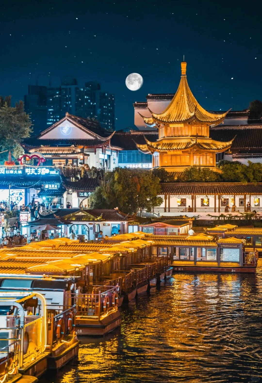 一句梧桐美，种满南京城🍂