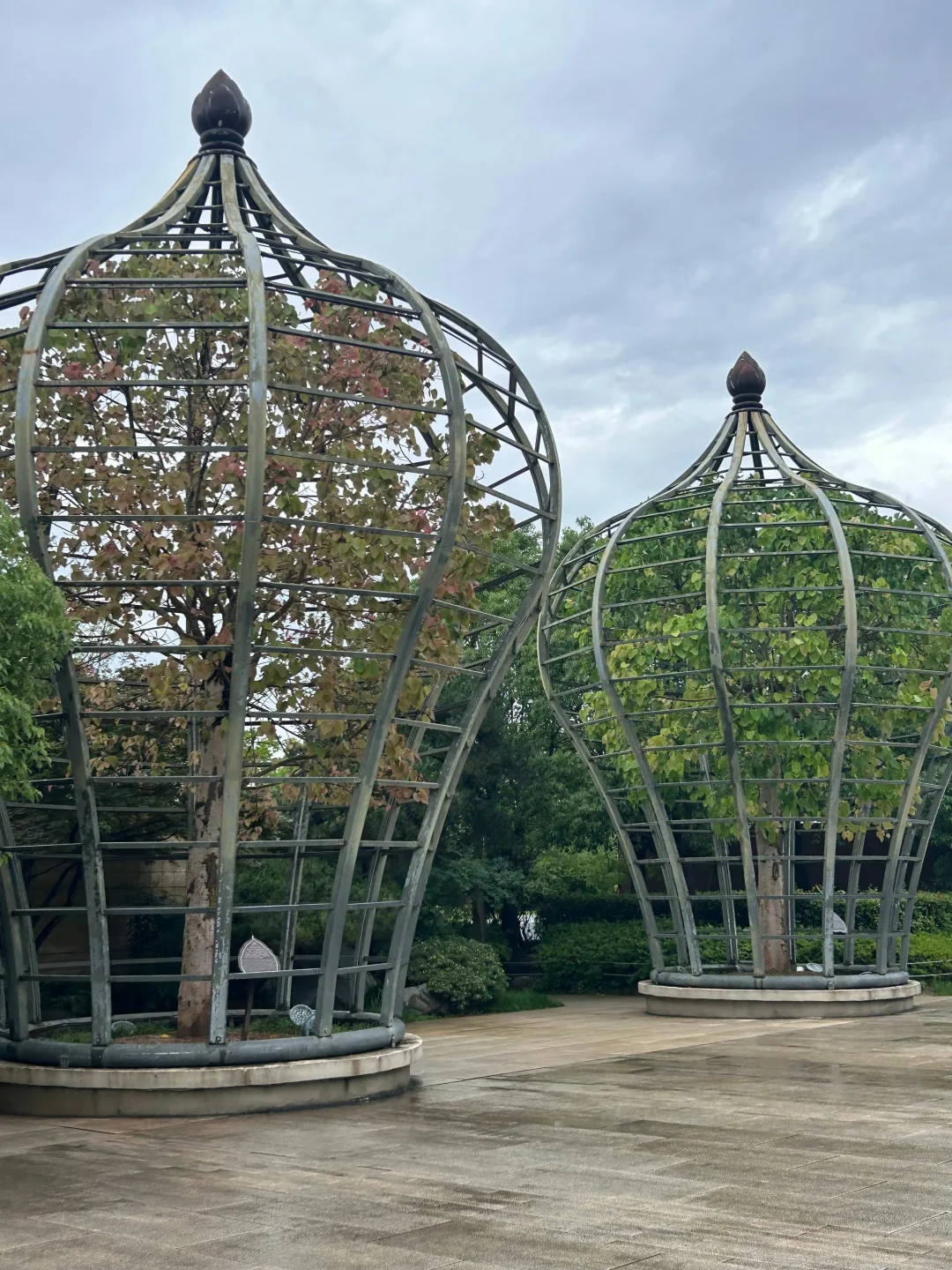 刚通知！近期去南京的家人们！😰抓紧改期吧