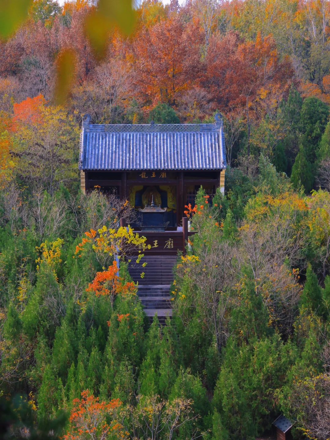 徐州人嘴真严啊！藏着这么美的地方不说！