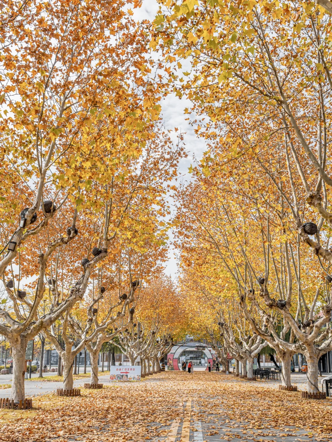 迄今为止❗️我最喜欢的旅游城市出现了….