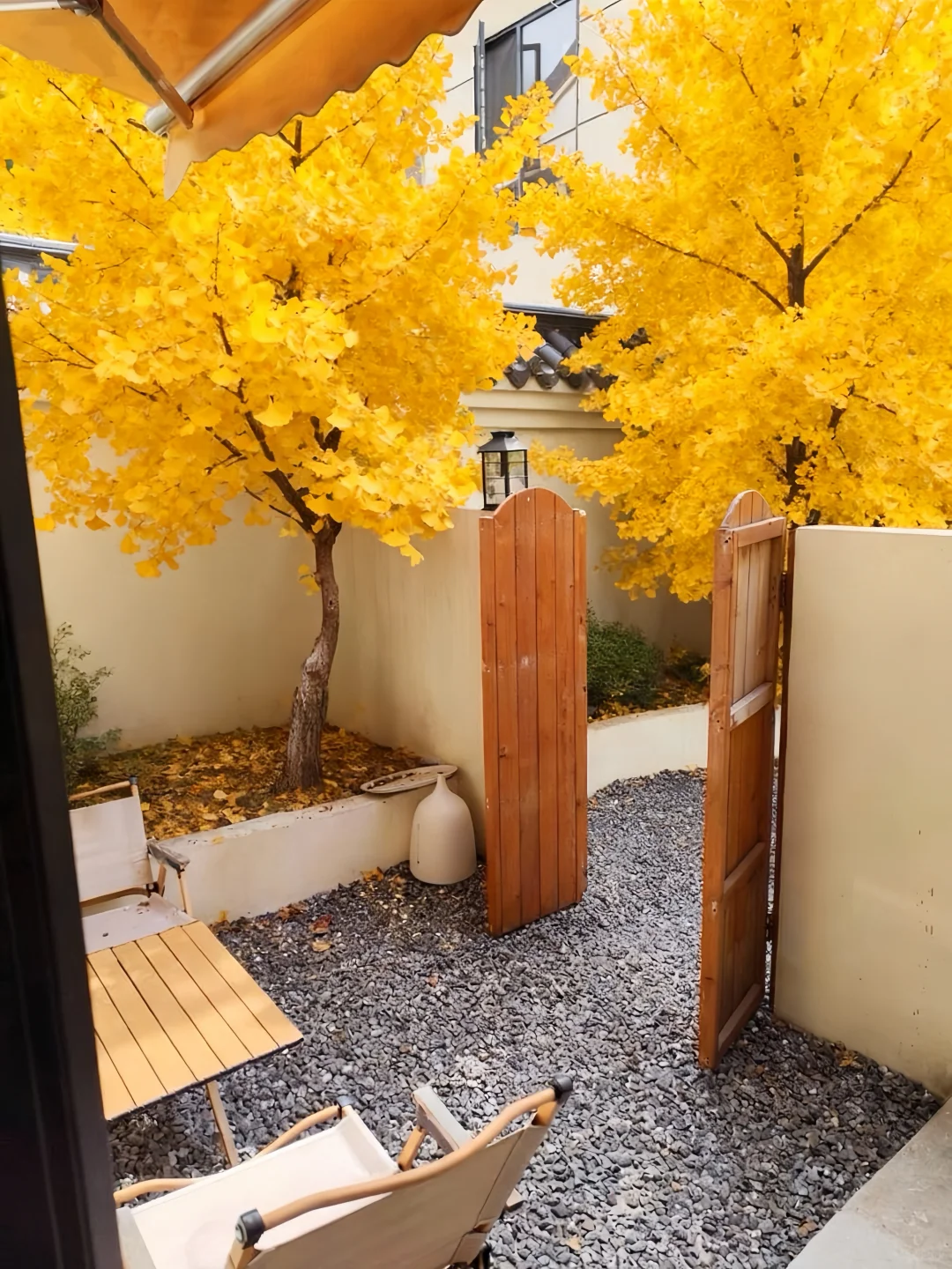 来南京住我家吧！108俩人😭（11.14后空）