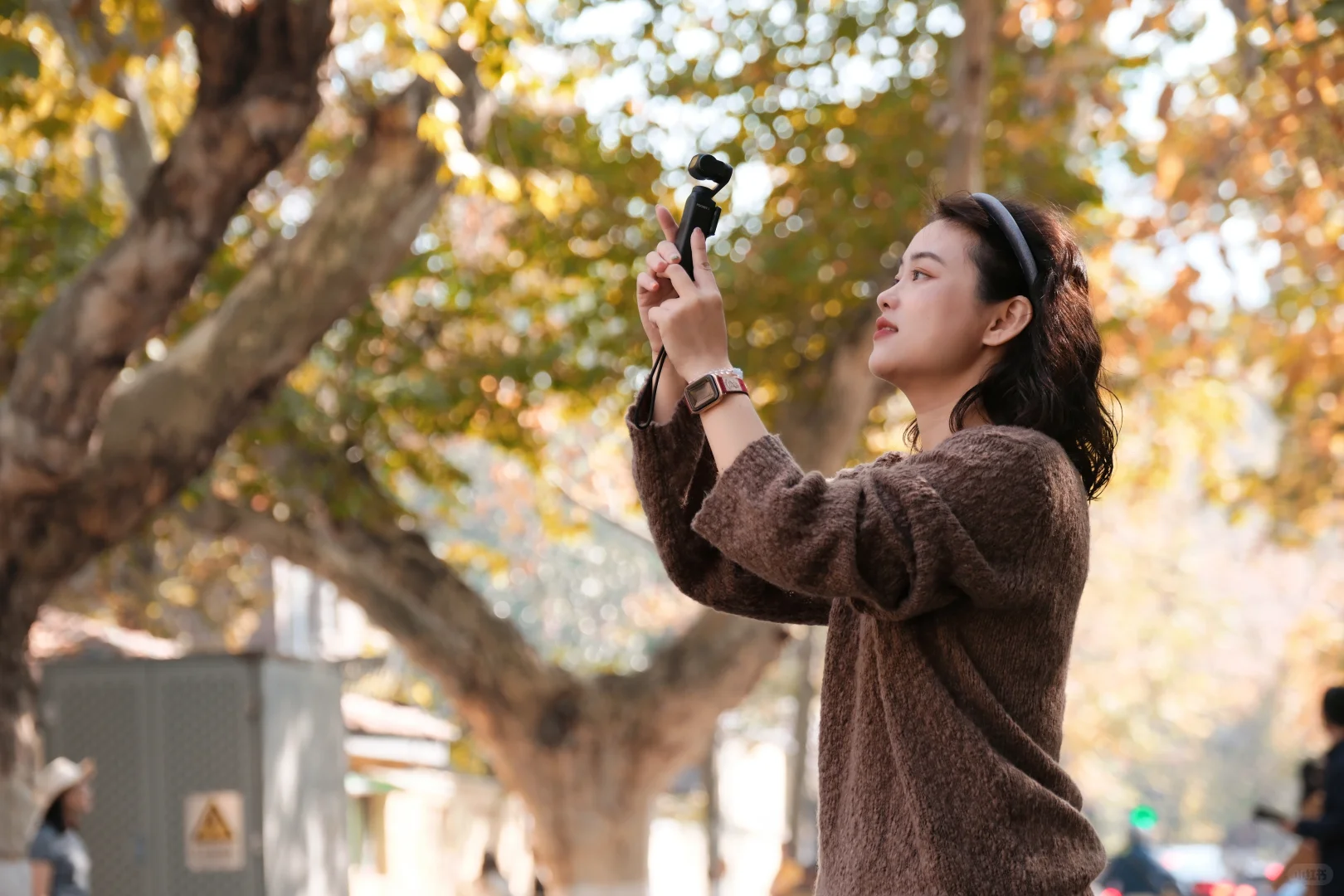 南京‖颐和路的秋天