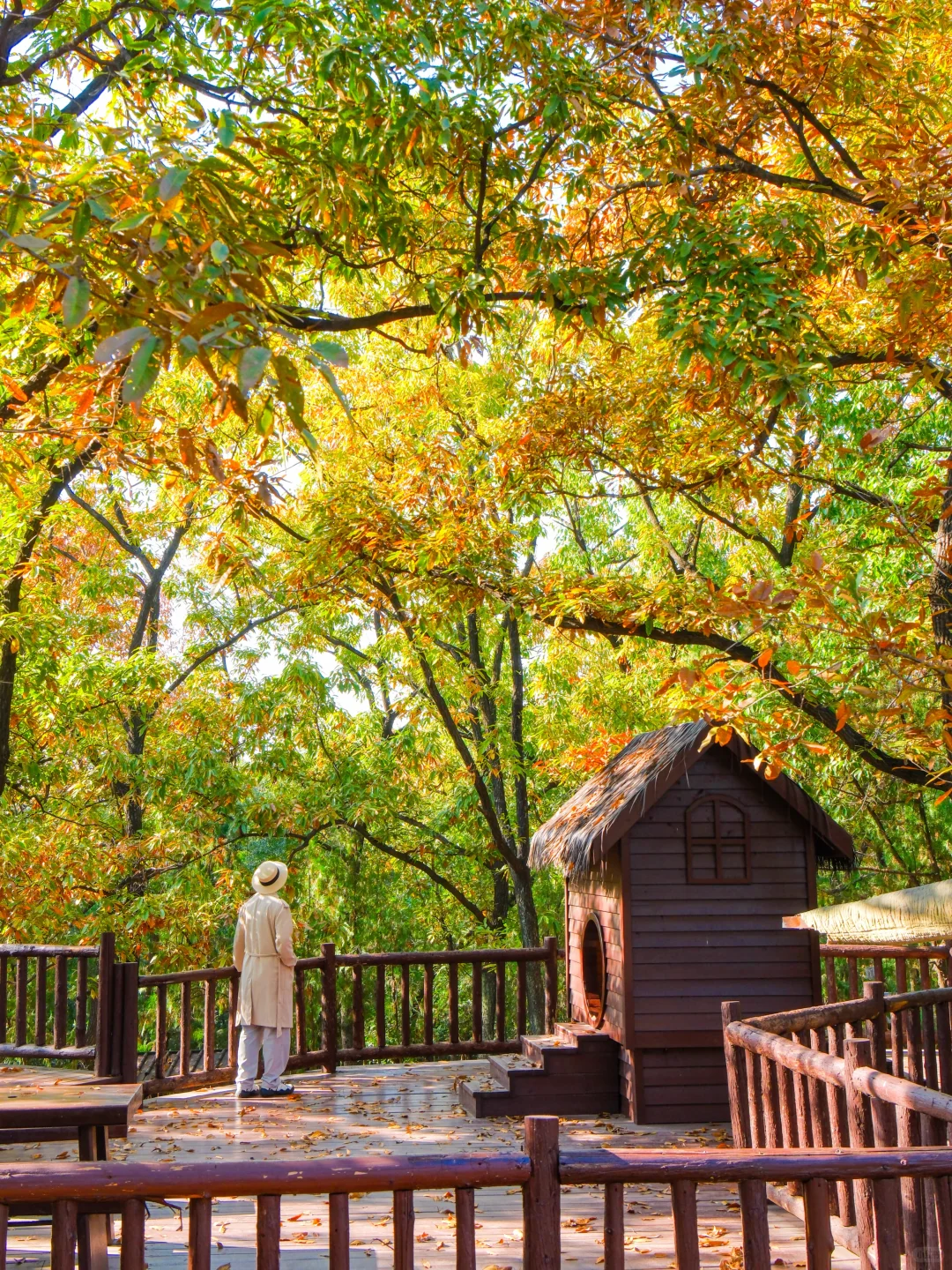 以为苏州已经够美了，直到我去了徐州😭..