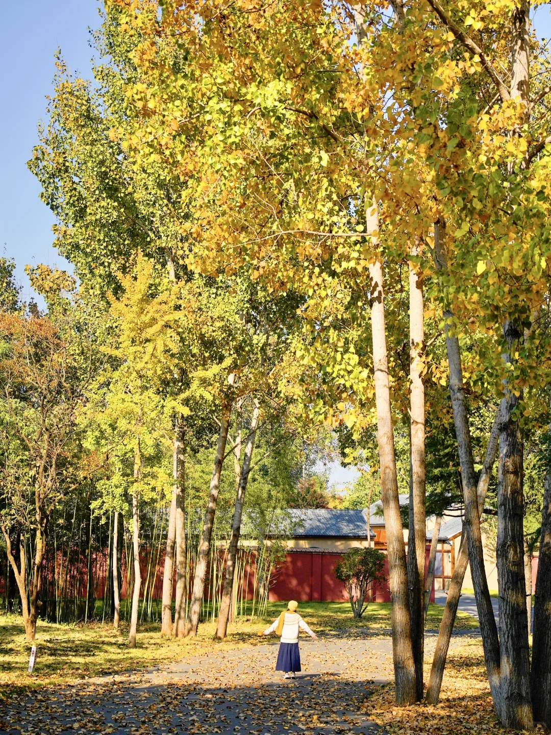 人生建议: 抵达徐州第一站从这开始Citywalk