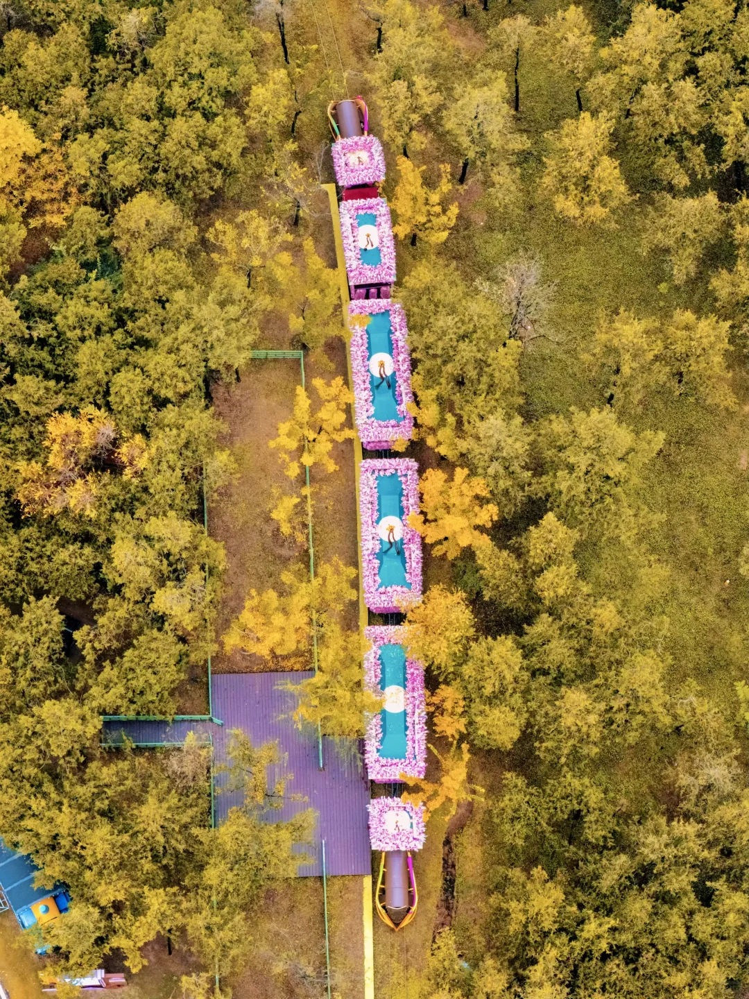 迄今为止🍁江浙沪最喜欢的秋游小城出现了‼️