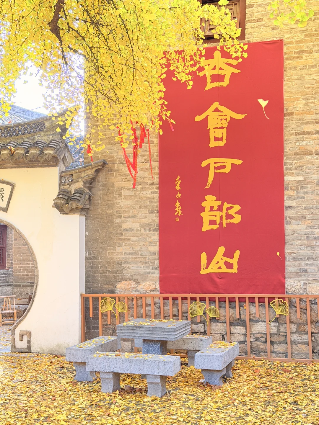 这颗银杏树等了你五百年