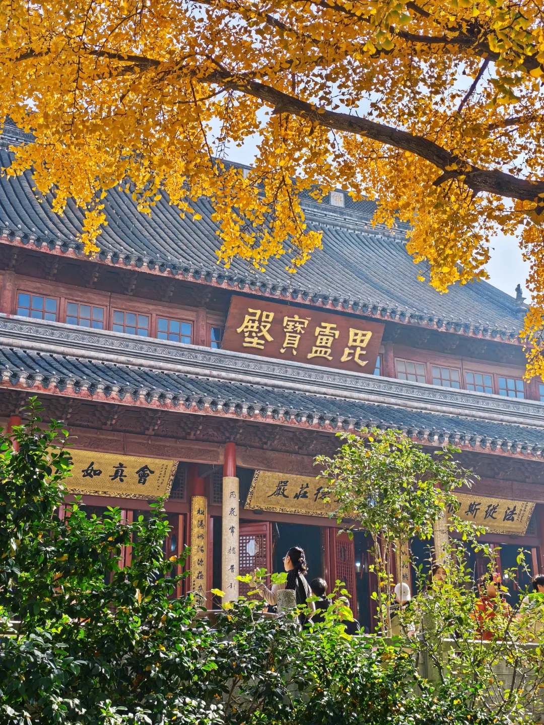 💥红啦！南京栖霞山免费赏枫指南来啦