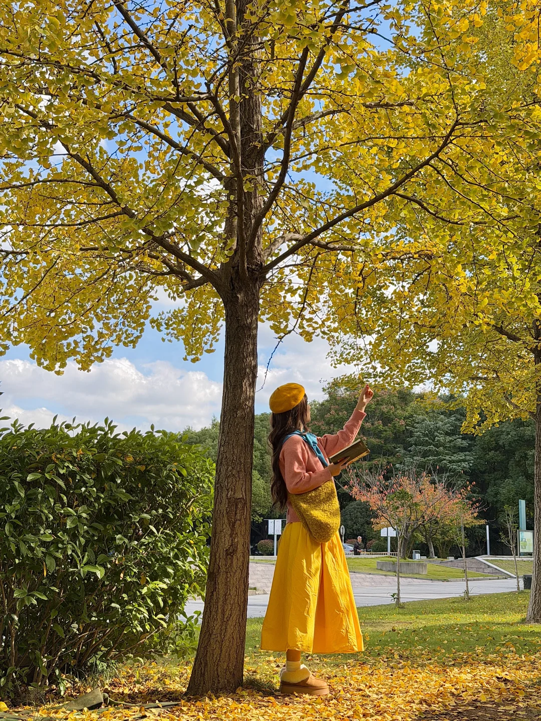 11.11实况！南京银杏大道杀疯了！！🈚️人！！！