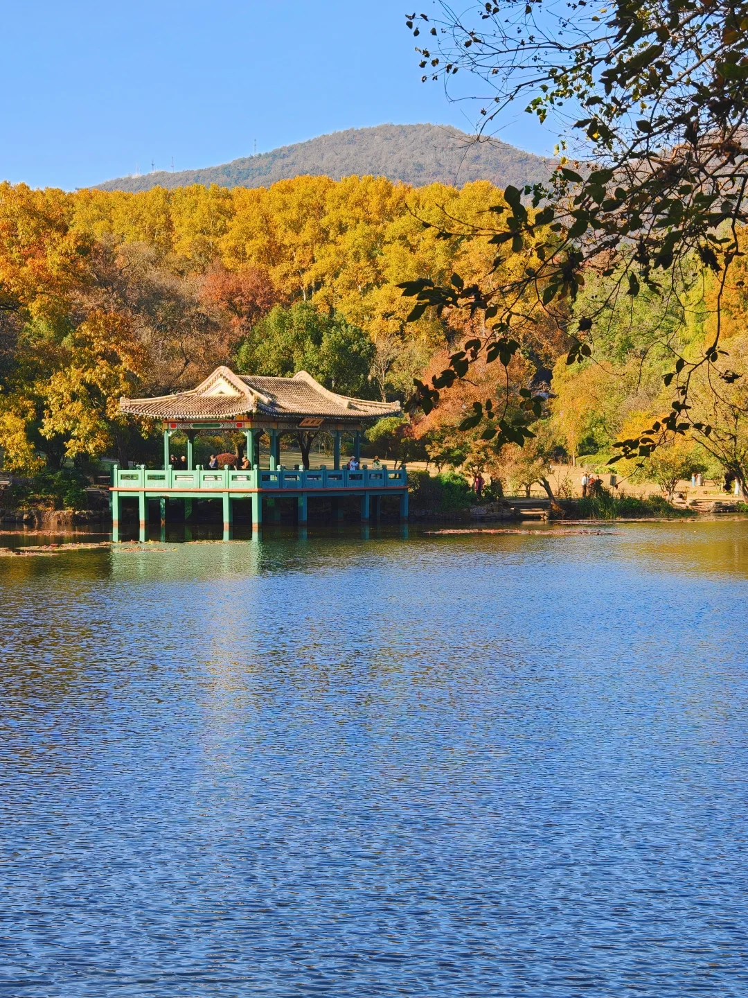 南京流徽榭秋景攻略｜正午1点拍绝湖水倒影
