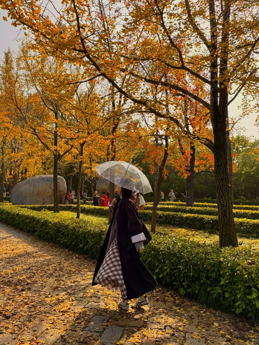 来南京住我家吧！99俩人😭（11.19开始空