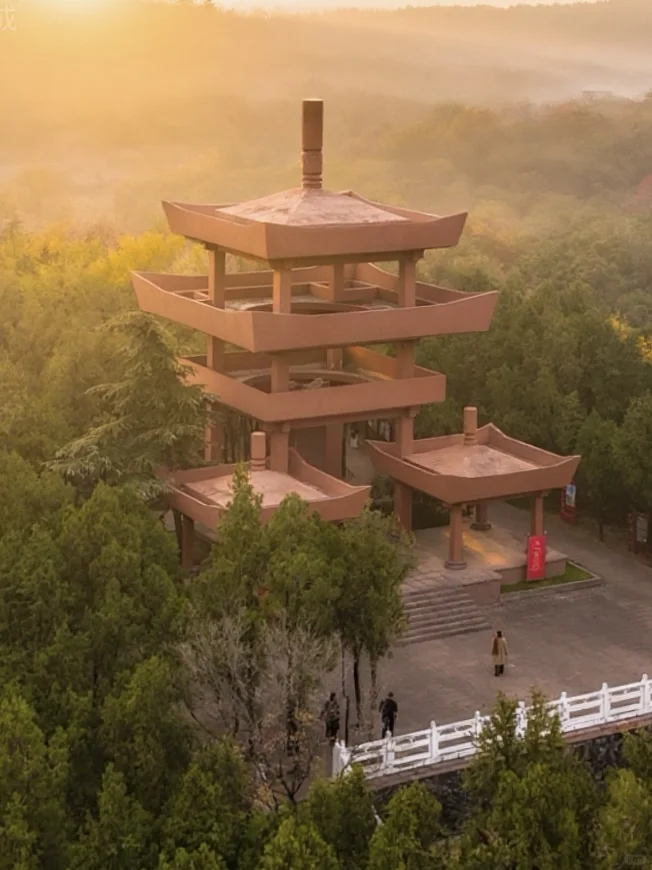 为了这片顶级秋色…在徐州暴走了两小时‼️