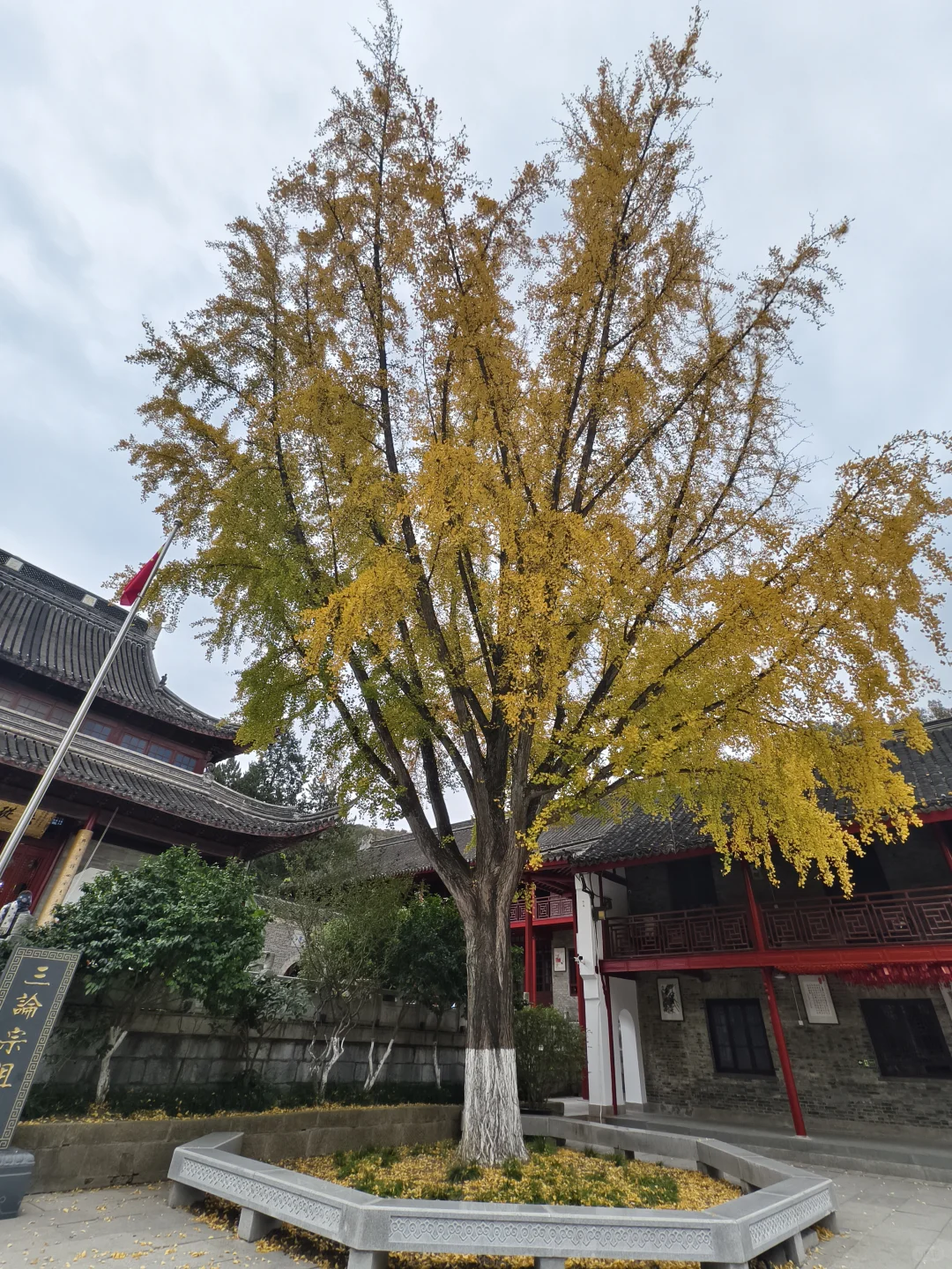 南京下雪啦！南京初雪！！！