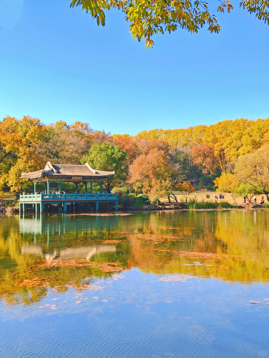 南京流徽榭秋景攻略｜正午1点拍绝湖水倒影