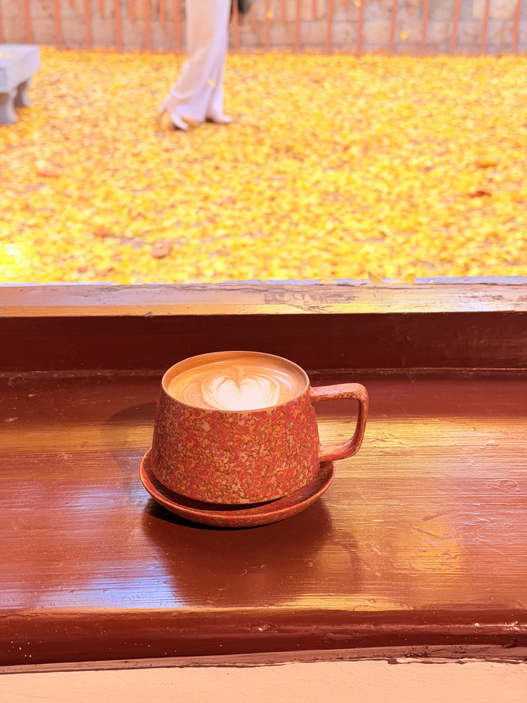 这颗银杏树等了你五百年