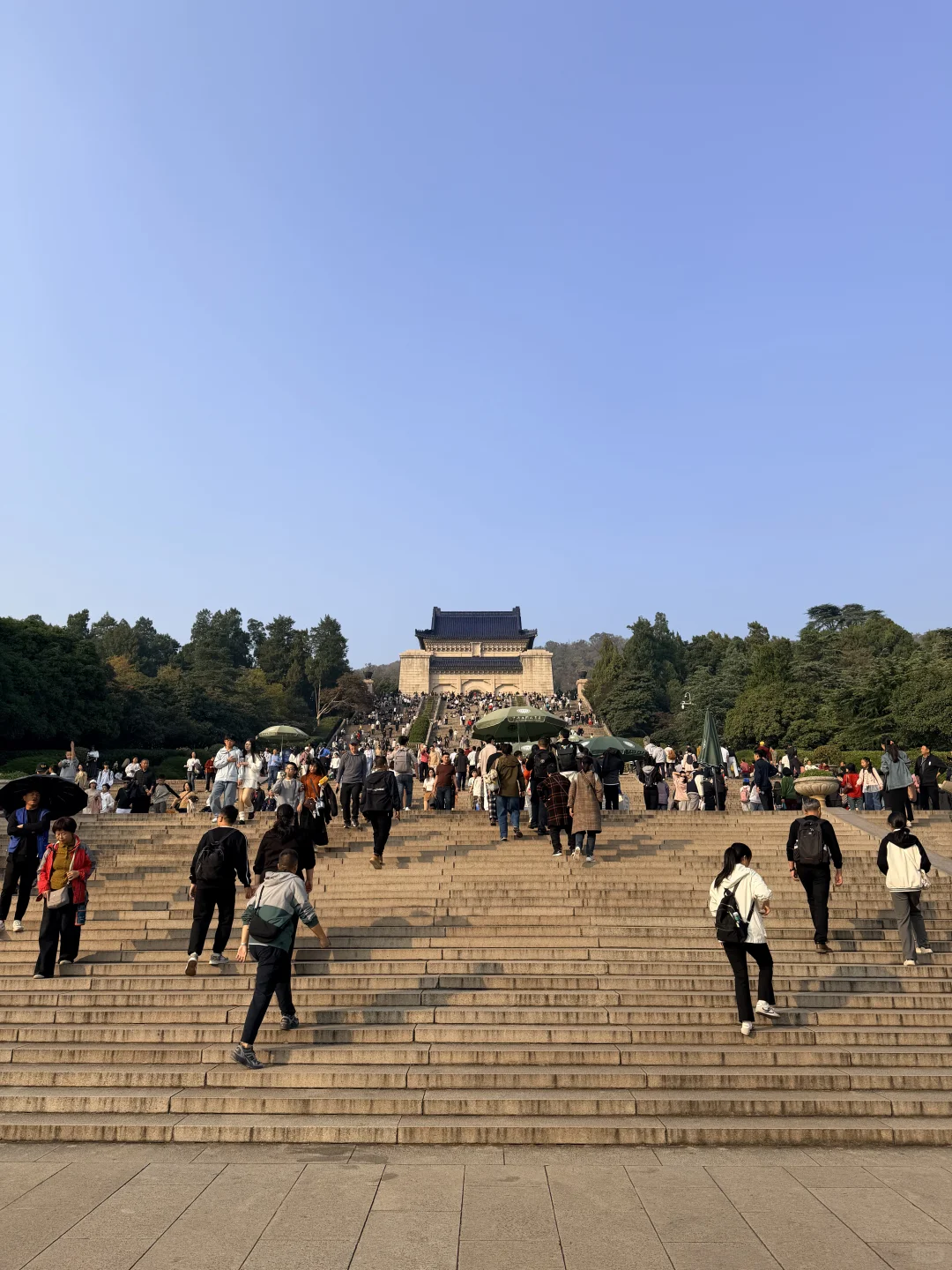 不开玩笑…11.14的南京被秋假大军攻陷了