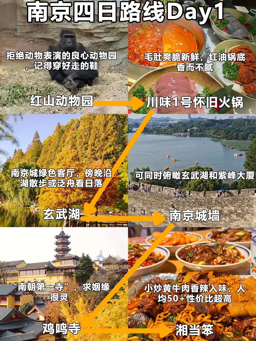 📍11.13南京受冻已回🥶🥶崩溃了...