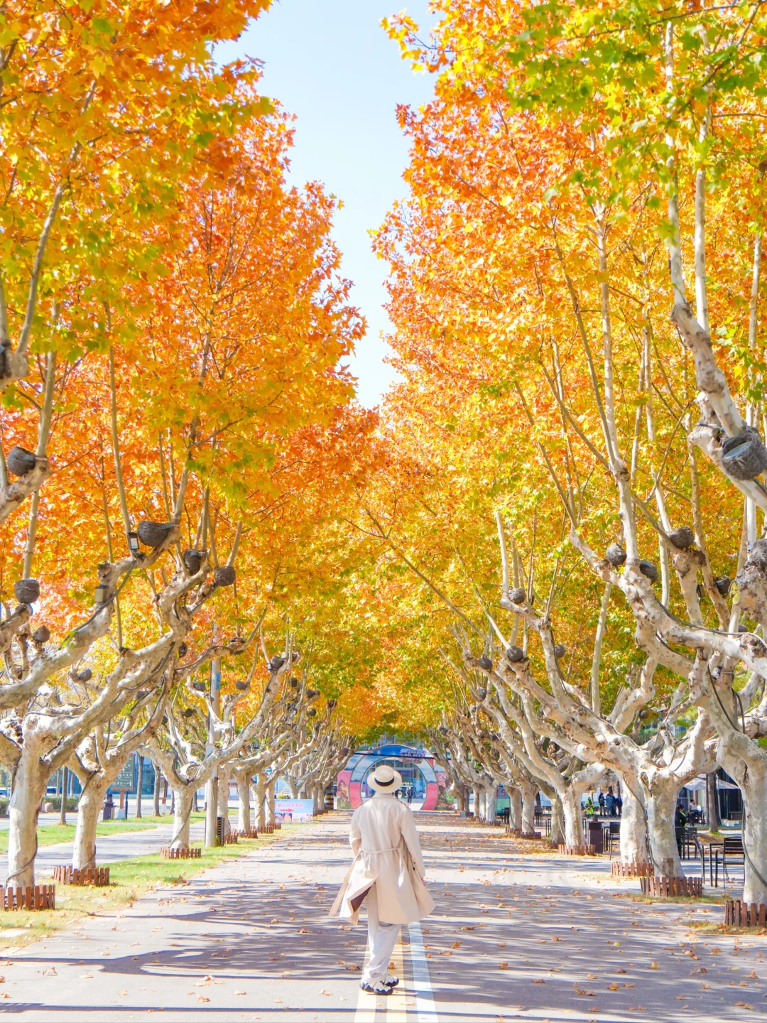 以为苏州已经够美了，直到我去了徐州😭..