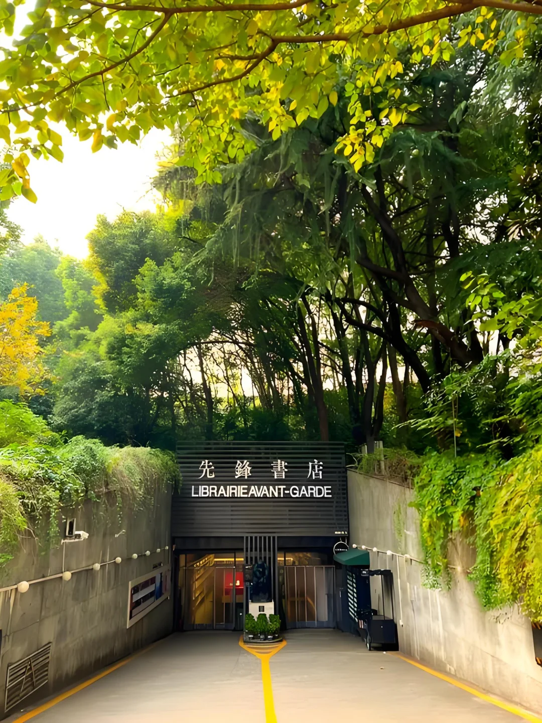 南京12个超出片的网红打卡点📸免费！