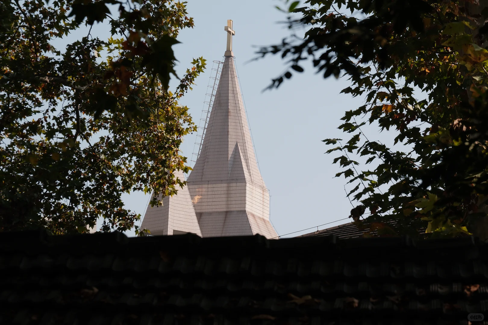 南京‖颐和路的秋天